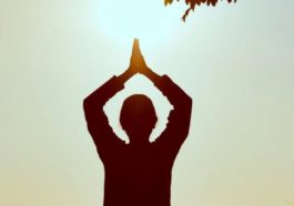 yoga is the connection between mind and body
