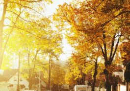 risks and benefits of real estate investment