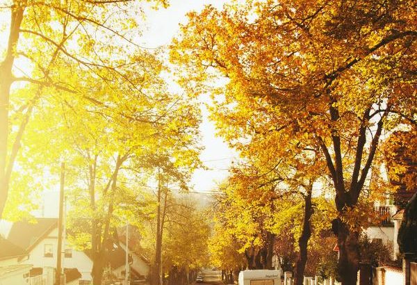 risks and benefits of real estate investment