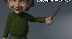 tips to slow down brain aging
